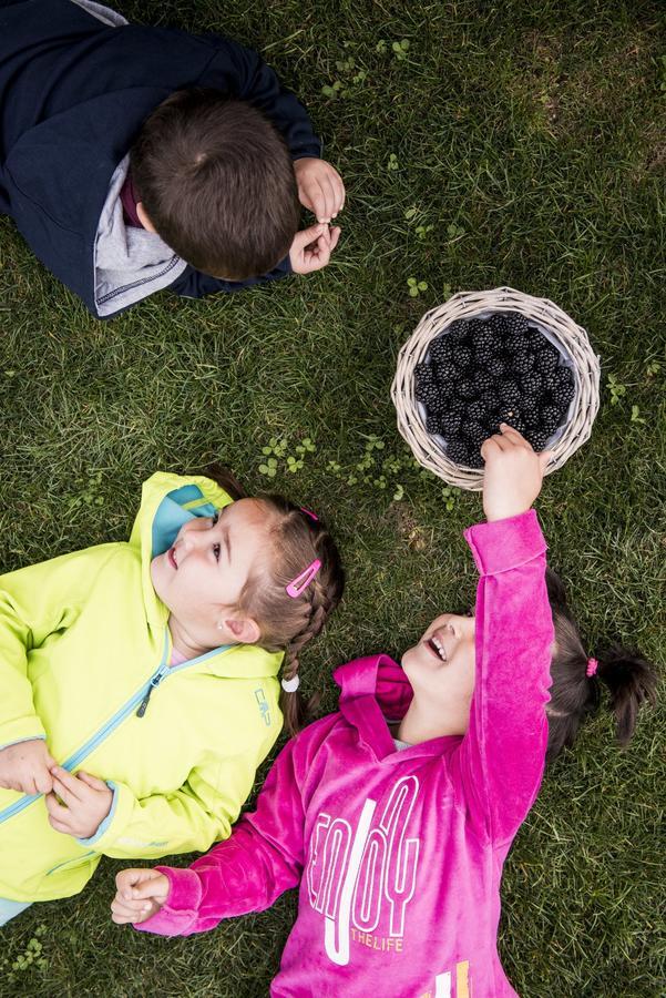 Vigolo Vattaro Berry Houseヴィラ エクステリア 写真
